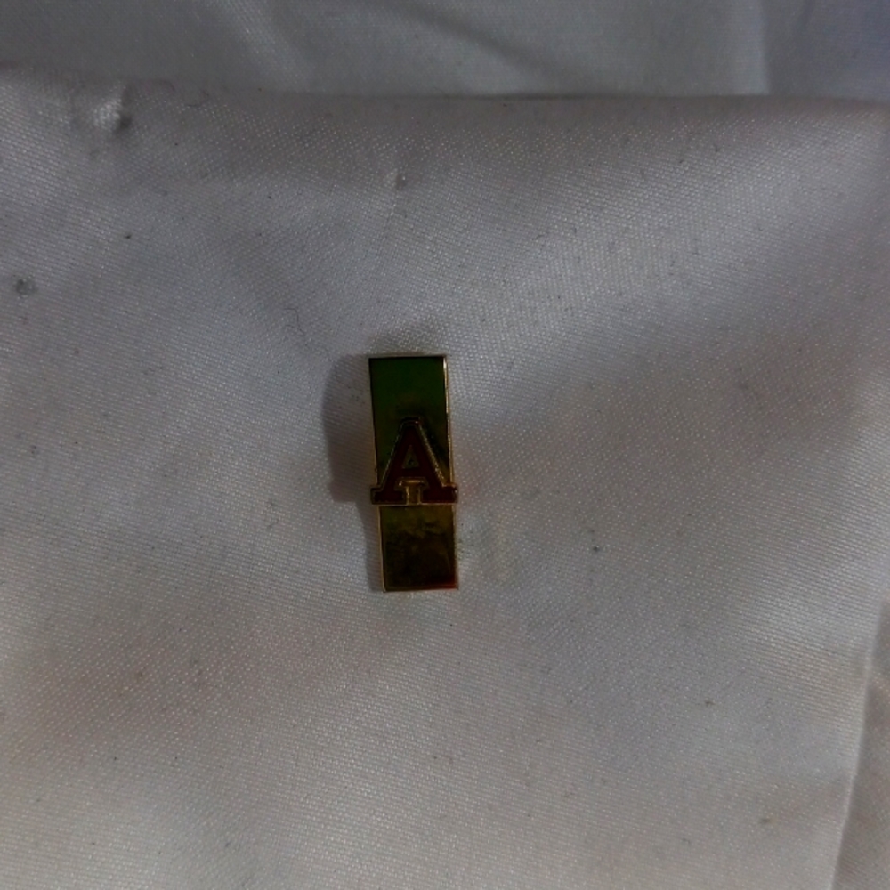 U.S.coast guard auxiliary pin
